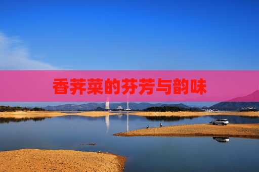香荠菜的芬芳与韵味