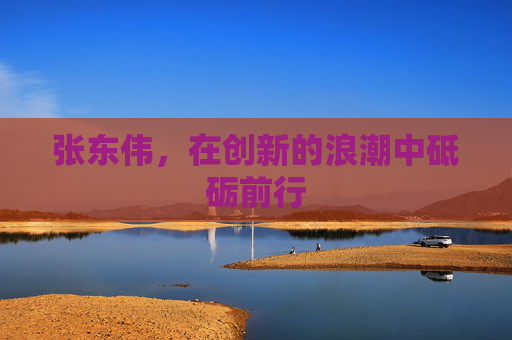 张东伟，在创新的浪潮中砥砺前行