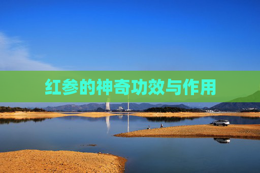红参的神奇功效与作用