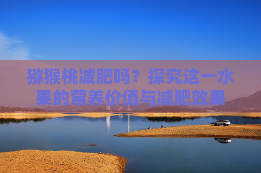 猕猴桃减肥吗？探究这一水果的营养价值与减肥效果