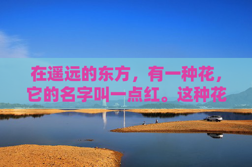 在遥远的东方，有一种花，它的名字叫一点红。这种花并不常见，它生长在一片神秘的森林中，只有那些拥有特殊缘分的人才能看见它。一点红的花瓣如同火焰般燃烧，散发出一种神秘而迷人的香气，让人心醉神迷