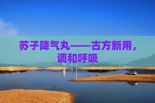 苏子降气丸——古方新用，调和呼吸