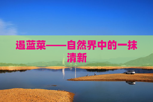 遏蓝菜——自然界中的一抹清新