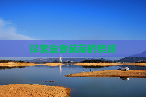 探索生食蔬菜的奥秘