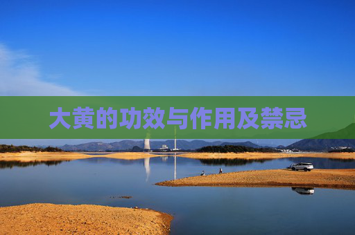 大黄的功效与作用及禁忌