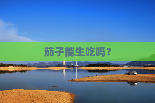 茄子能生吃吗？
