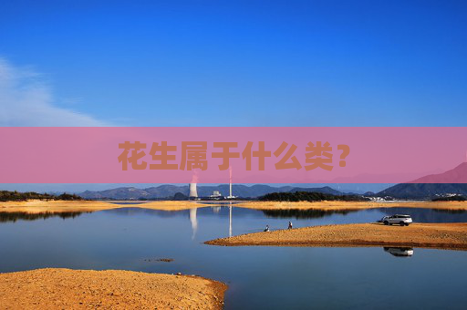 花生属于什么类？