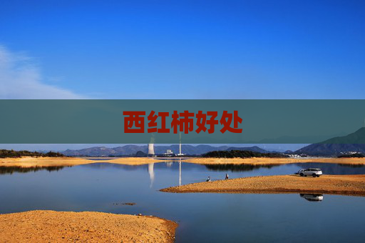 西红柿好处 西红柿好处