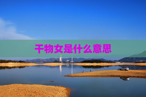 干物女是什么意思