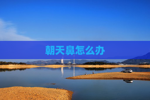 朝天鼻怎么办 朝天鼻怎么办