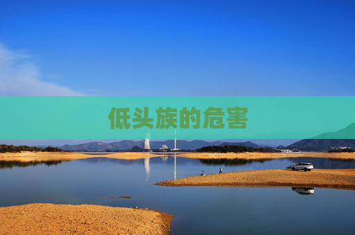 低头族的危害 低头族的危害