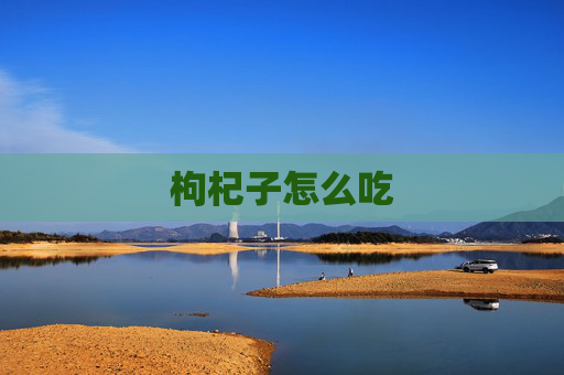 枸杞子怎么吃