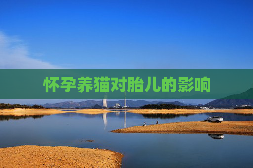 怀孕养猫对胎儿的影响