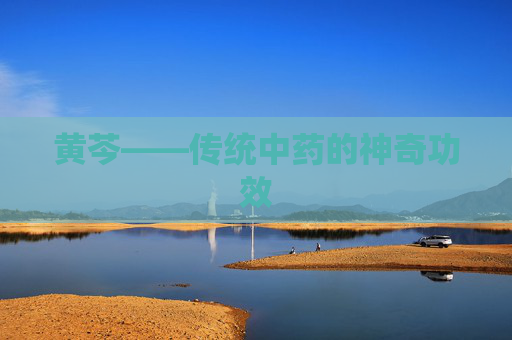 黄芩——传统中药的神奇功效