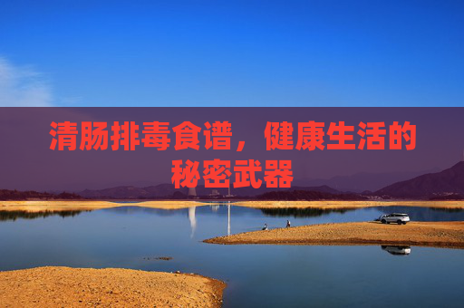 清肠排毒食谱，健康生活的秘密武器
