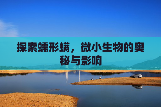 探索蠕形螨，微小生物的奥秘与影响