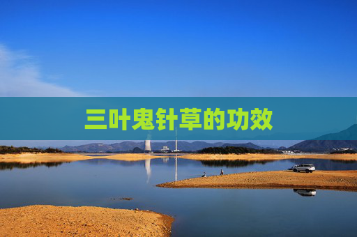 三叶鬼针草的功效