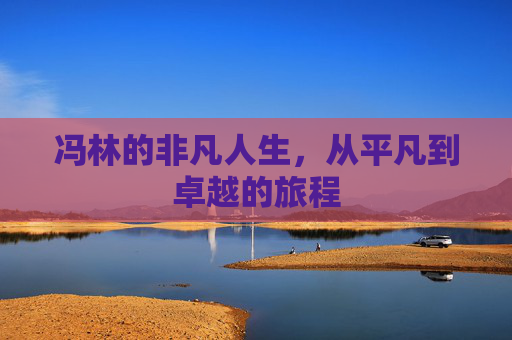 冯林的非凡人生，从平凡到卓越的旅程