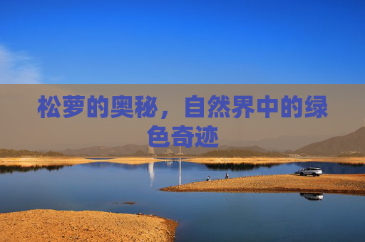 松萝的奥秘,自然界中的绿色奇迹 松萝的奥秘,自然界中的绿色奇迹