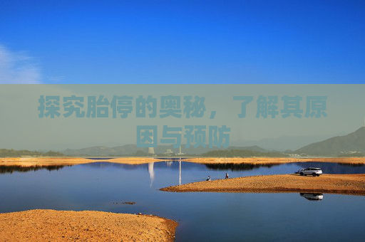 探究胎停的奥秘，了解其原因与预防