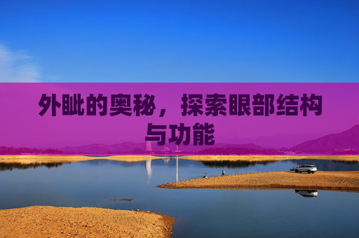 外眦的奥秘，探索眼部结构与功能