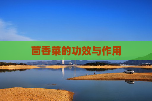 茴香菜的功效与作用