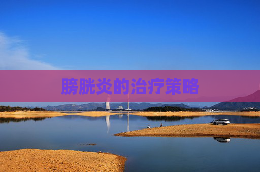膀胱炎的治疗策略