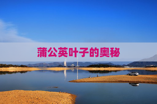蒲公英叶子的奥秘