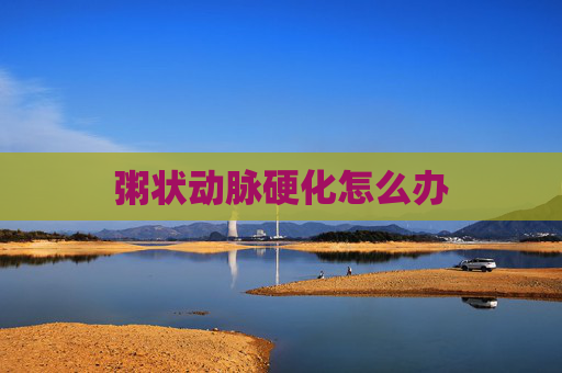 粥状动脉硬化怎么办
