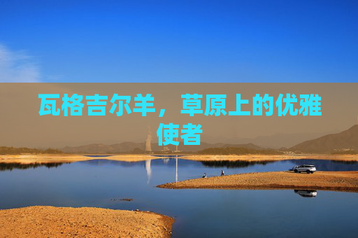 瓦格吉尔羊,草原上的优雅使者 瓦格吉尔羊,草原上的优雅使者