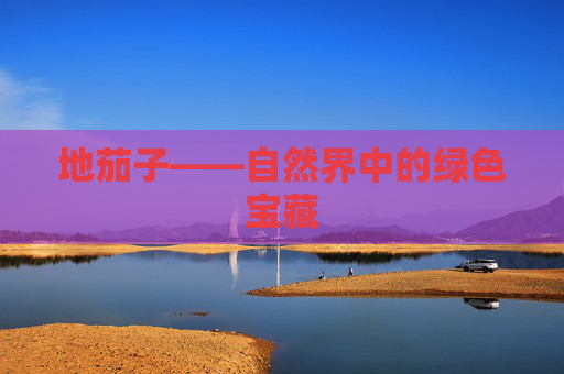 地茄子——自然界中的绿色宝藏 地茄子——自然界中的绿色宝藏