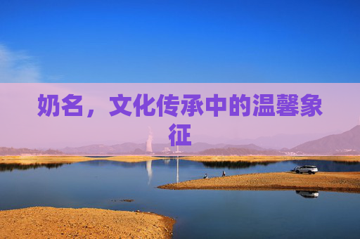 奶名,文化传承中的温馨象征 奶名,文化传承中的温馨象征