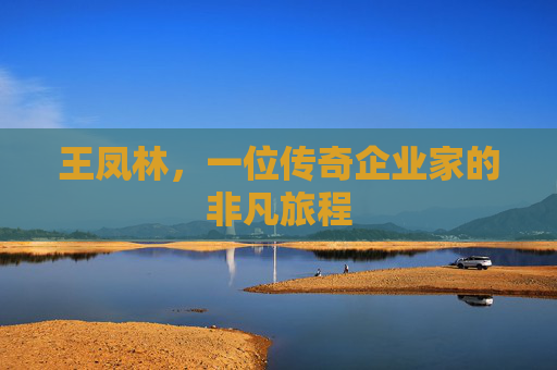 王凤林,一位传奇企业家的非凡旅程 王凤林,一位传奇企业家的非凡旅程