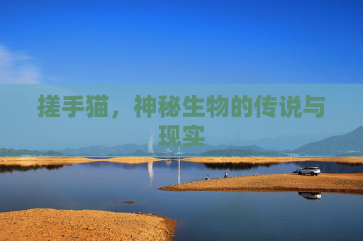 搓手猫,神秘生物的传说与现实 搓手猫,神秘生物的传说与现实