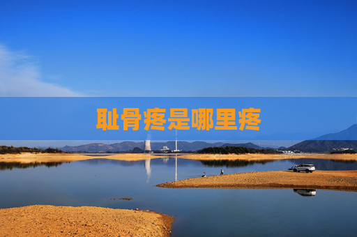 耻骨疼是哪里疼