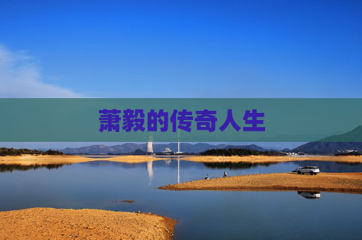 萧毅的传奇人生