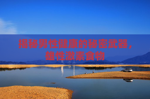 揭秘男性健康的秘密武器，雄性激素食物