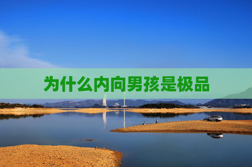 为什么内向男孩是极品