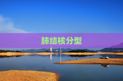 肺结核分型