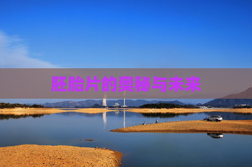 胚胎片的奥秘与未来