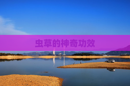 虫草的神奇功效