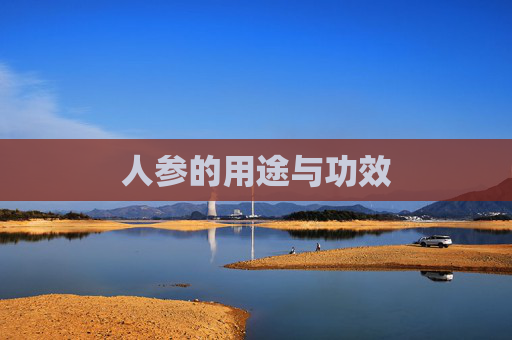 人参的用途与功效