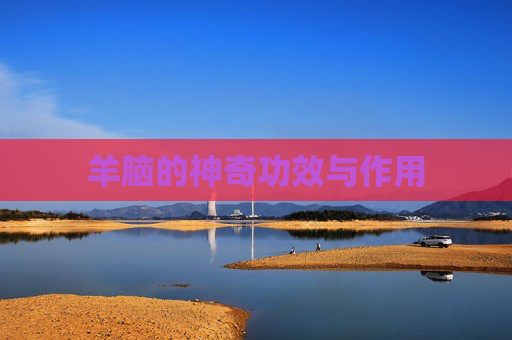羊脑的神奇功效与作用