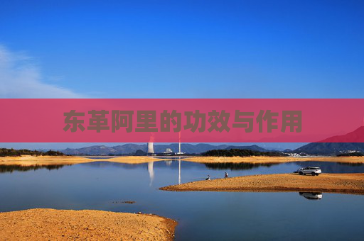 东革阿里的功效与作用