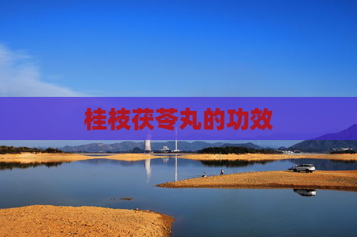 桂枝茯苓丸的功效