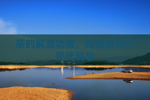 茶的解酒功效，传统智慧与现代科学