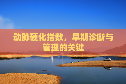 动脉硬化指数，早期诊断与管理的关键