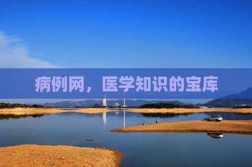 病例网，医学知识的宝库