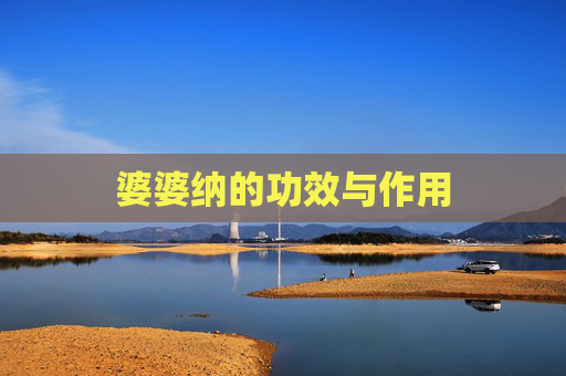 婆婆纳的功效与作用