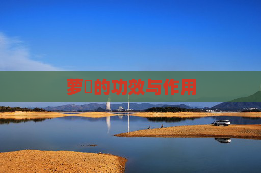 萝藦的功效与作用